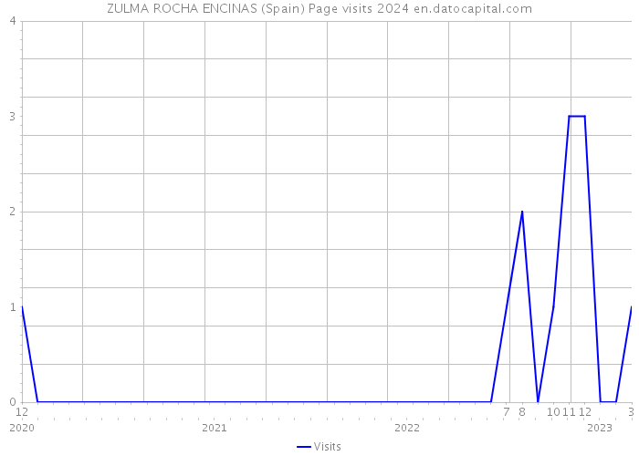ZULMA ROCHA ENCINAS (Spain) Page visits 2024 