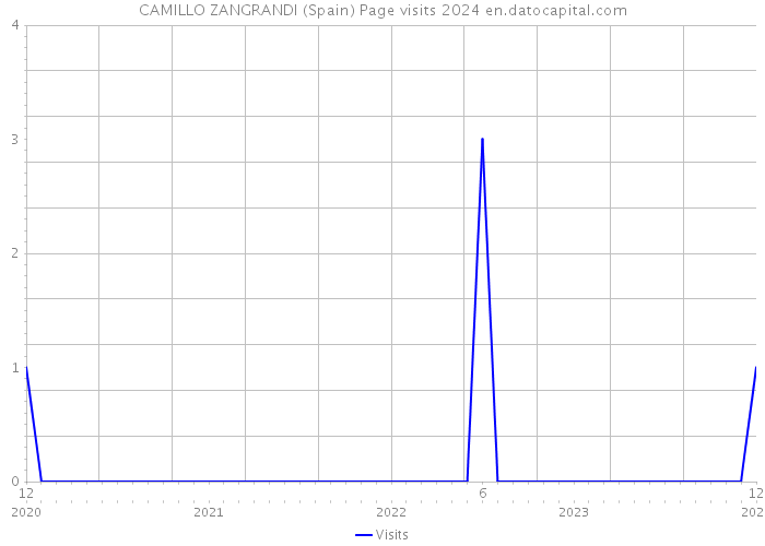 CAMILLO ZANGRANDI (Spain) Page visits 2024 