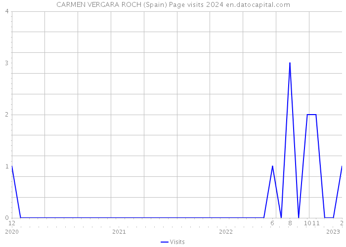 CARMEN VERGARA ROCH (Spain) Page visits 2024 