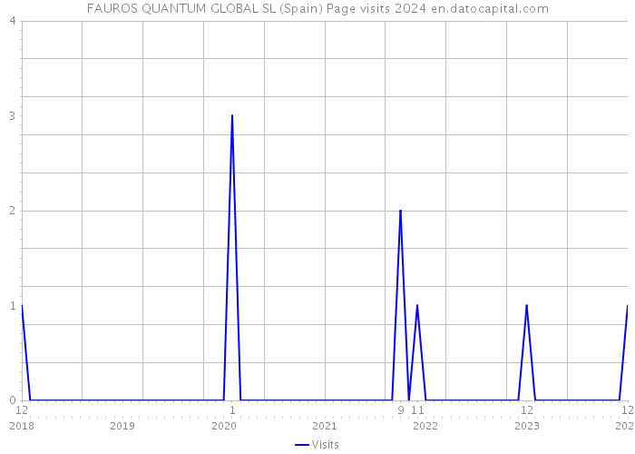 FAUROS QUANTUM GLOBAL SL (Spain) Page visits 2024 