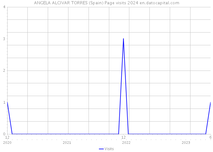 ANGELA ALCIVAR TORRES (Spain) Page visits 2024 