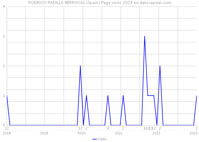 RODRIGO PADILLA BERROCAL (Spain) Page visits 2024 