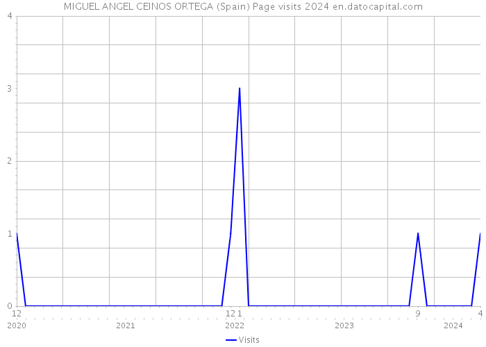 MIGUEL ANGEL CEINOS ORTEGA (Spain) Page visits 2024 