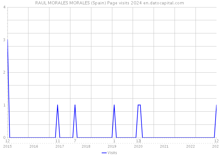 RAUL MORALES MORALES (Spain) Page visits 2024 