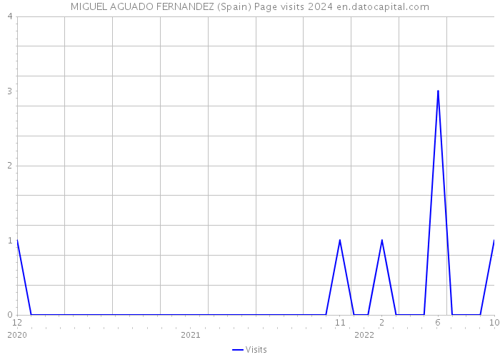 MIGUEL AGUADO FERNANDEZ (Spain) Page visits 2024 