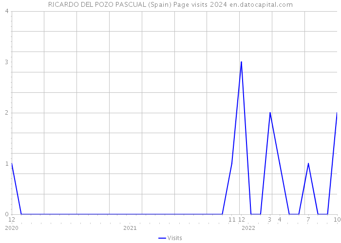RICARDO DEL POZO PASCUAL (Spain) Page visits 2024 