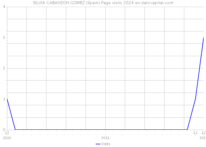 SILVIA CABANZON GOMEZ (Spain) Page visits 2024 