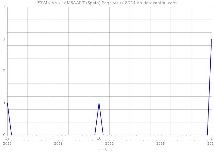 ERWIN VAN LAMBAART (Spain) Page visits 2024 