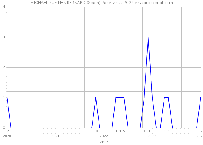 MICHAEL SUMNER BERNARD (Spain) Page visits 2024 