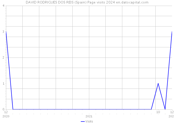 DAVID RODRIGUES DOS REIS (Spain) Page visits 2024 
