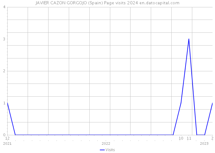 JAVIER CAZON GORGOJO (Spain) Page visits 2024 