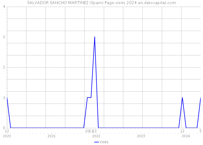 SALVADOR SANCHO MARTINEZ (Spain) Page visits 2024 