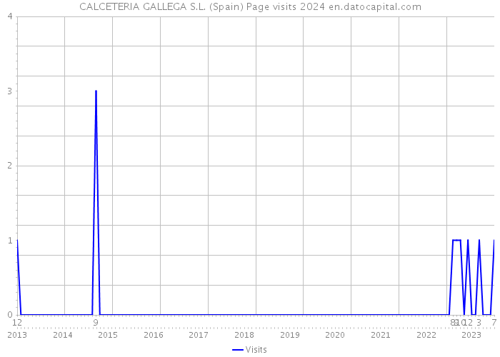 CALCETERIA GALLEGA S.L. (Spain) Page visits 2024 