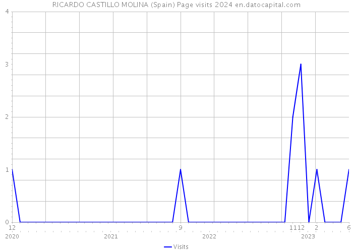 RICARDO CASTILLO MOLINA (Spain) Page visits 2024 