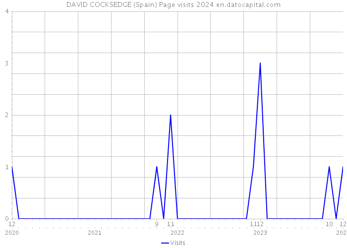 DAVID COCKSEDGE (Spain) Page visits 2024 