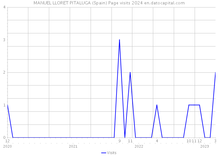 MANUEL LLORET PITALUGA (Spain) Page visits 2024 