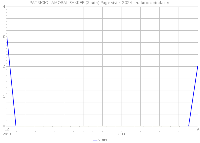 PATRICIO LAMORAL BAKKER (Spain) Page visits 2024 