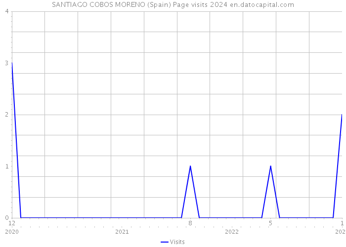 SANTIAGO COBOS MORENO (Spain) Page visits 2024 