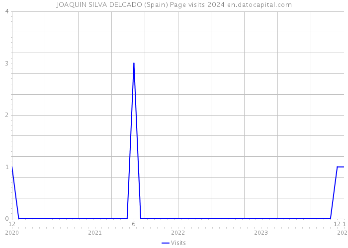JOAQUIN SILVA DELGADO (Spain) Page visits 2024 