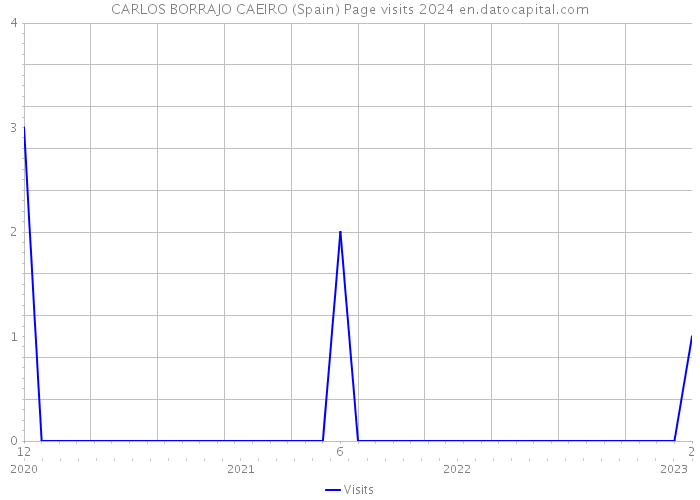 CARLOS BORRAJO CAEIRO (Spain) Page visits 2024 