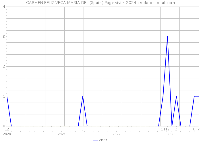 CARMEN FELIZ VEGA MARIA DEL (Spain) Page visits 2024 