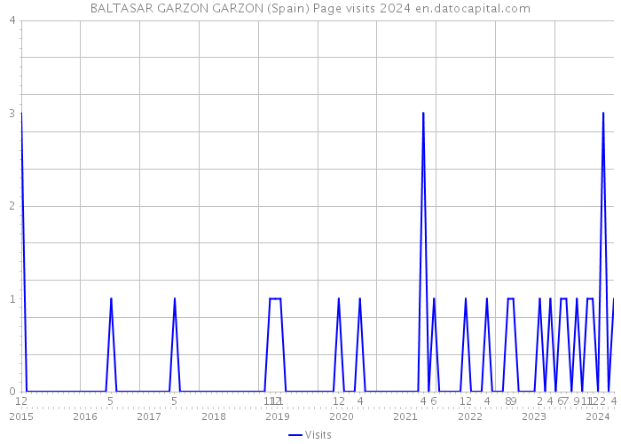 BALTASAR GARZON GARZON (Spain) Page visits 2024 