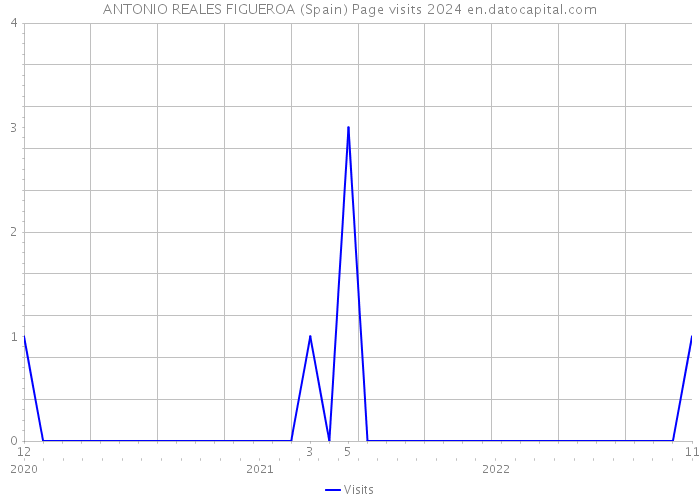 ANTONIO REALES FIGUEROA (Spain) Page visits 2024 