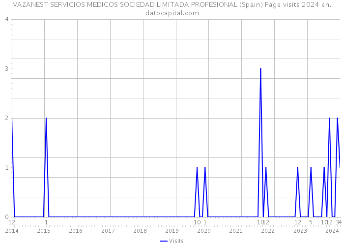 VAZANEST SERVICIOS MEDICOS SOCIEDAD LIMITADA PROFESIONAL (Spain) Page visits 2024 