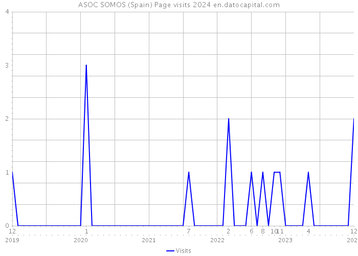ASOC SOMOS (Spain) Page visits 2024 
