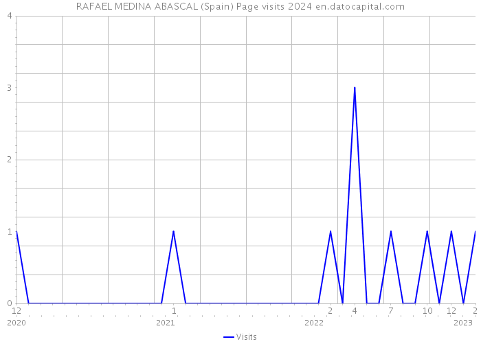 RAFAEL MEDINA ABASCAL (Spain) Page visits 2024 