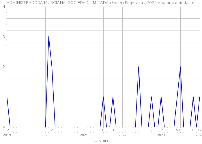 ADMINISTRADORA MURCIANA, SOCIEDAD LIMITADA (Spain) Page visits 2024 