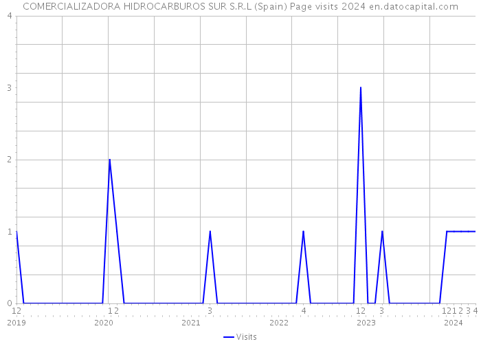 COMERCIALIZADORA HIDROCARBUROS SUR S.R.L (Spain) Page visits 2024 