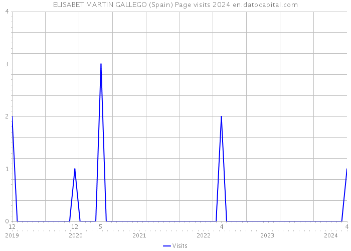 ELISABET MARTIN GALLEGO (Spain) Page visits 2024 
