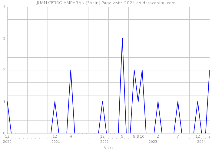 JUAN CERRO AMPARAN (Spain) Page visits 2024 