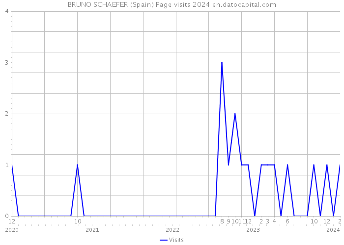BRUNO SCHAEFER (Spain) Page visits 2024 