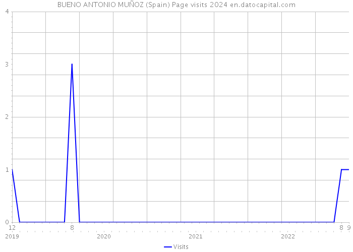 BUENO ANTONIO MUÑOZ (Spain) Page visits 2024 