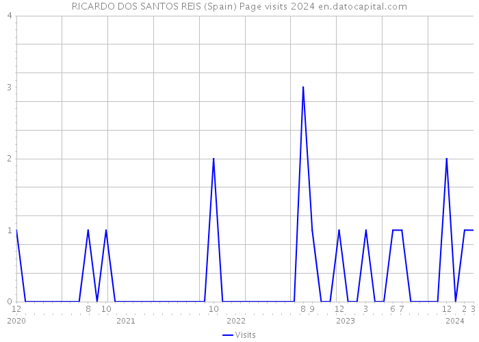 RICARDO DOS SANTOS REIS (Spain) Page visits 2024 