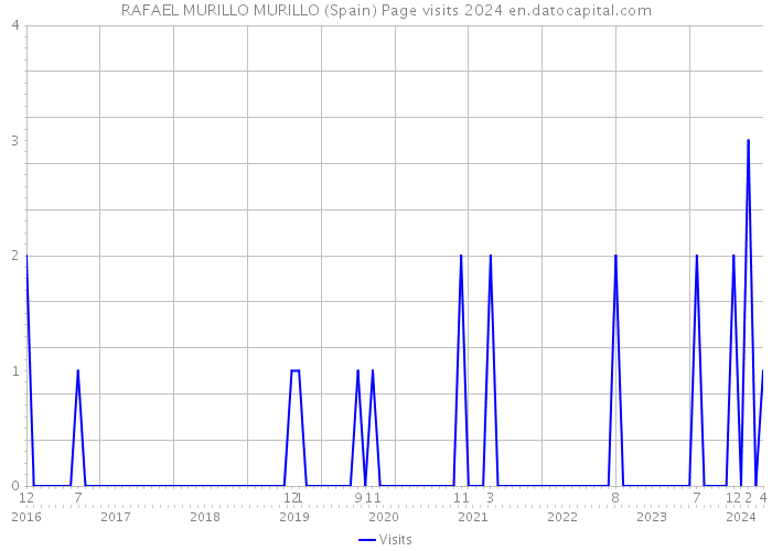 RAFAEL MURILLO MURILLO (Spain) Page visits 2024 