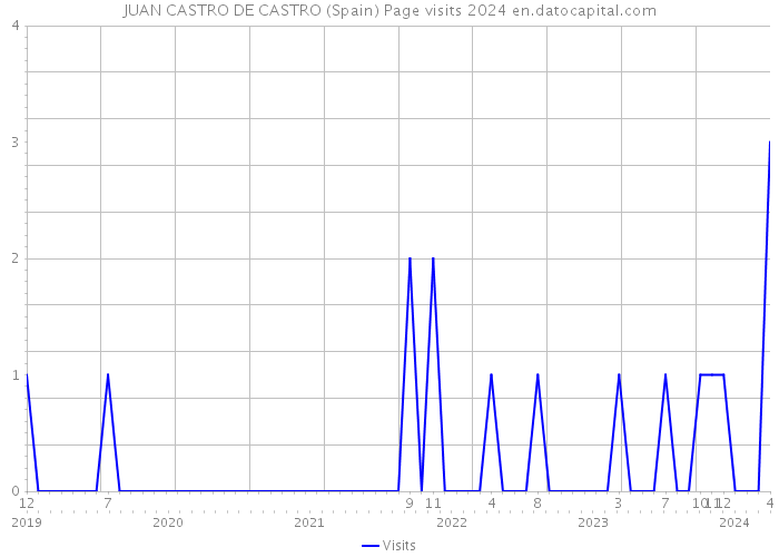 JUAN CASTRO DE CASTRO (Spain) Page visits 2024 