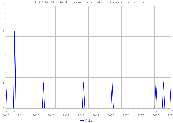 TIENDA MAGDALENA SLL. (Spain) Page visits 2024 