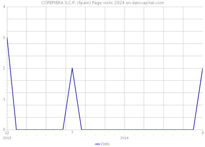 COPEPIERA S.C.P. (Spain) Page visits 2024 