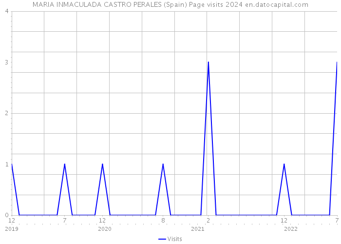 MARIA INMACULADA CASTRO PERALES (Spain) Page visits 2024 