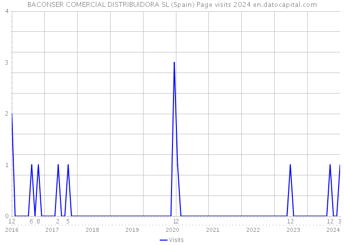 BACONSER COMERCIAL DISTRIBUIDORA SL (Spain) Page visits 2024 