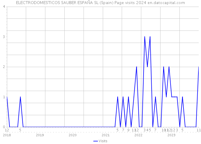 ELECTRODOMESTICOS SAUBER ESPAÑA SL (Spain) Page visits 2024 