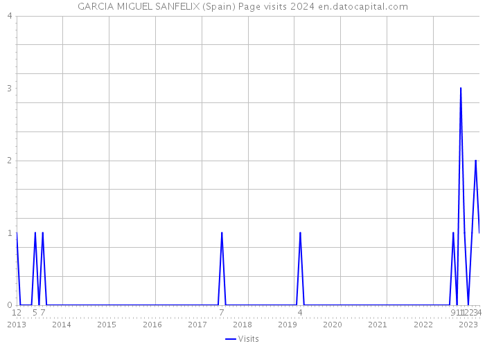 GARCIA MIGUEL SANFELIX (Spain) Page visits 2024 
