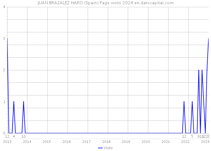 JUAN BRAZALEZ HARO (Spain) Page visits 2024 