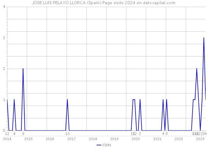 JOSE LUIS PELAYO LLORCA (Spain) Page visits 2024 