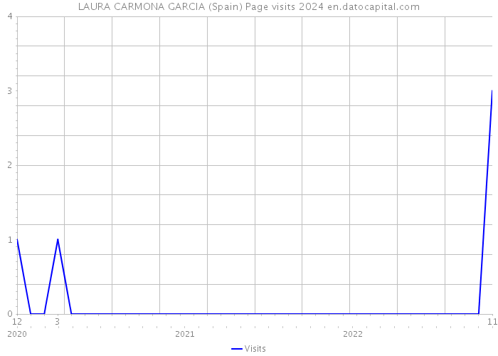 LAURA CARMONA GARCIA (Spain) Page visits 2024 