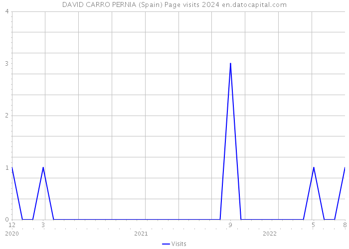 DAVID CARRO PERNIA (Spain) Page visits 2024 
