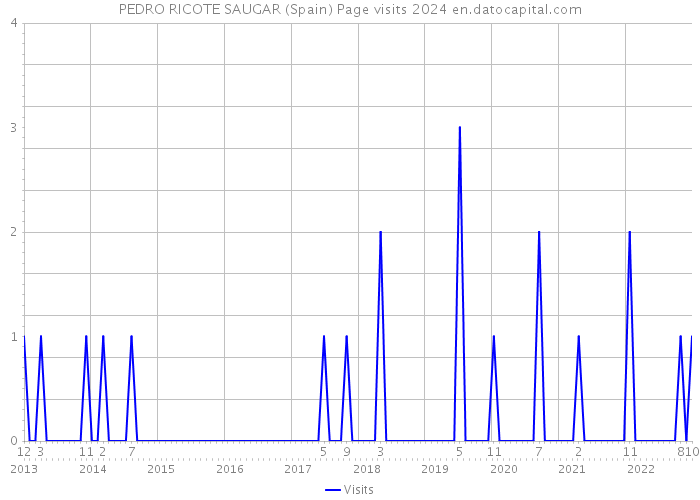 PEDRO RICOTE SAUGAR (Spain) Page visits 2024 